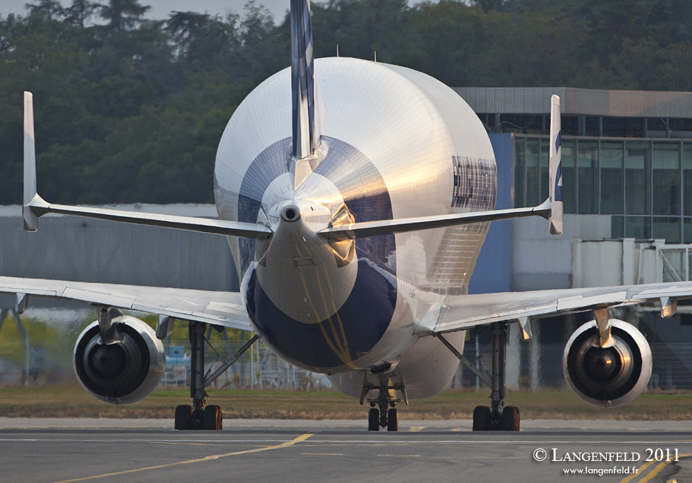 Beluga back from Hamburg